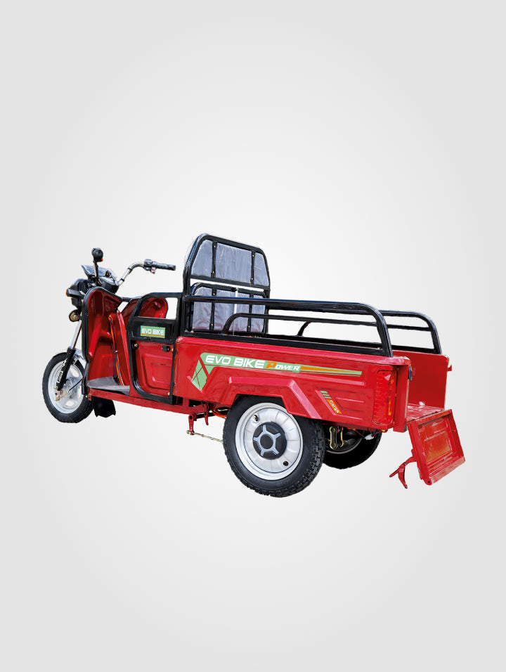 Triciclo Cargo