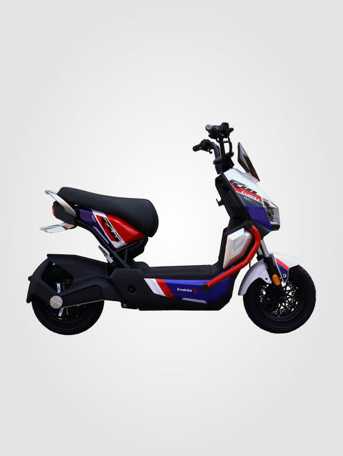 Aguila Pro color clear